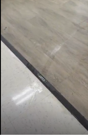 Squeegee Blade and Rear Caster