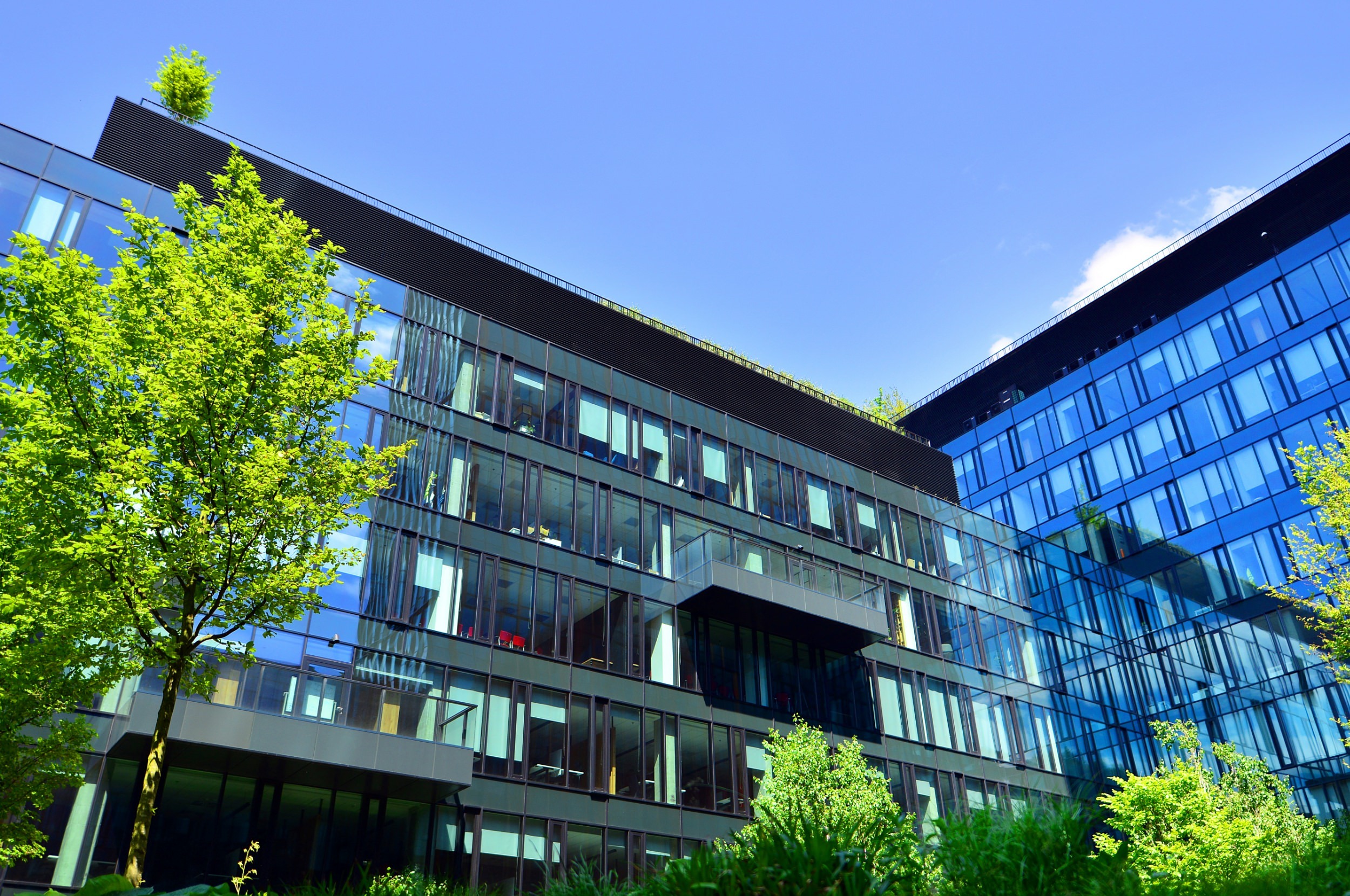 A commercial building surrounded with trees
