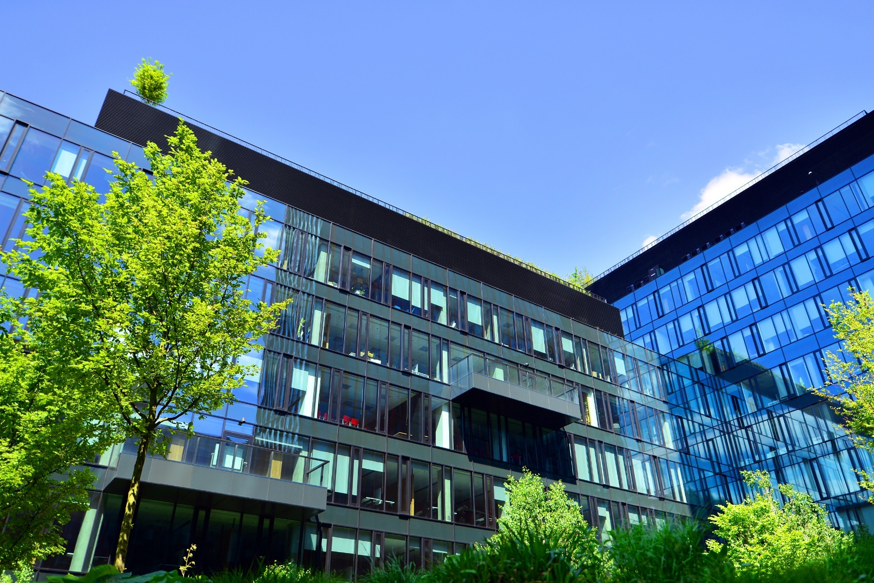 Sustainability and Corporate ESG
