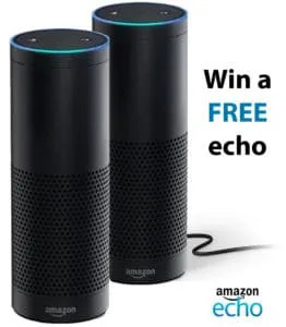 Amazon echo img banner 2 262x300